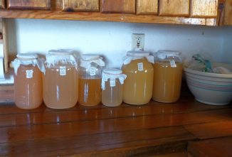 Making Fruit-Scrap Vinegar